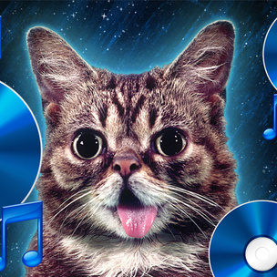 LOL! Кошка-мем выпускает музыкальный альбом