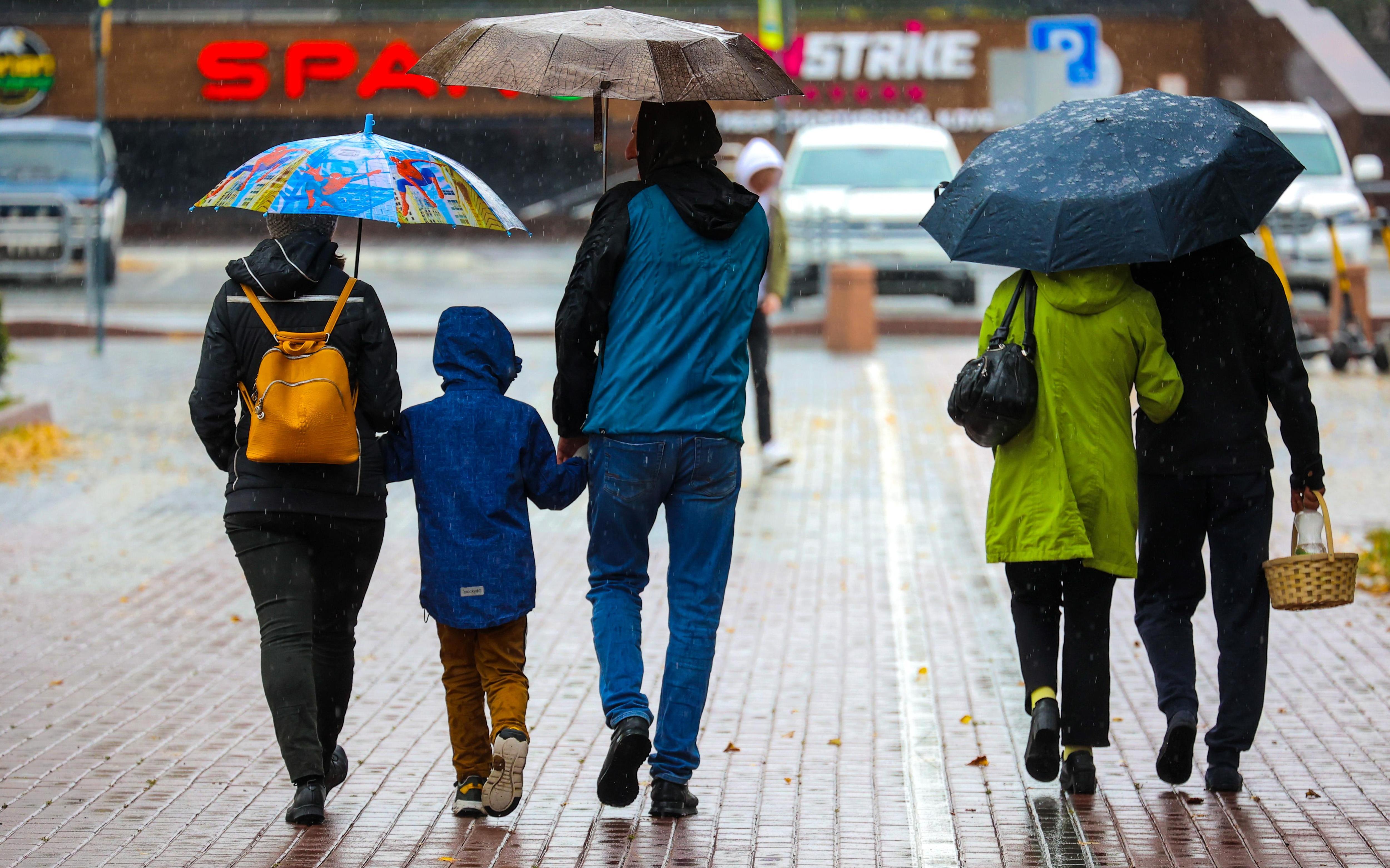 Новые выплаты, ранний декрет и не только: что пообещали матерям в их праздник 
