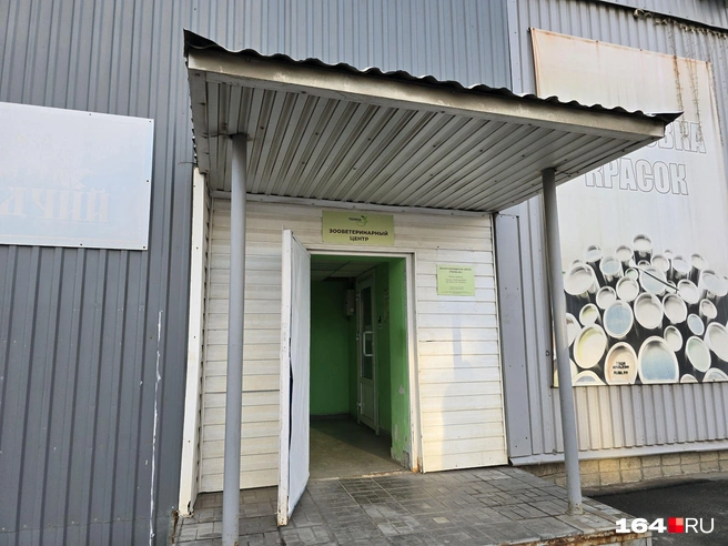 Вход в святилище герпетолога | Источник: Семен Коротов-Майбах / 164.RU