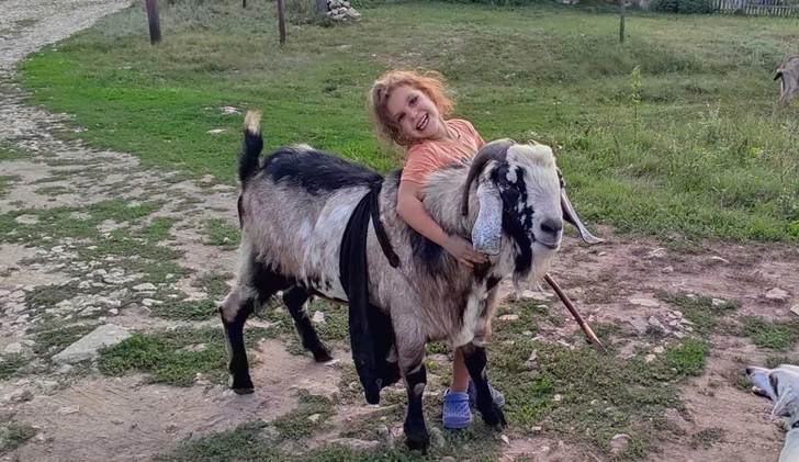 Детский фотоконкурс «Лесные приключения»: выбираем лучшие снимки