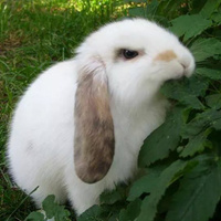 Аватарка Анастасия