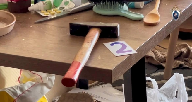 Одна из улик | Источник: следком Якутии