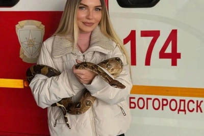 МЧС освободило питона, застрявшего в трубах в Богородске