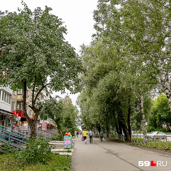 Микрорайон Нагорный&nbsp;не центральный, но в таких местах понимаешь, что это и хорошо | Источник: Василина Любимова / 59.RU