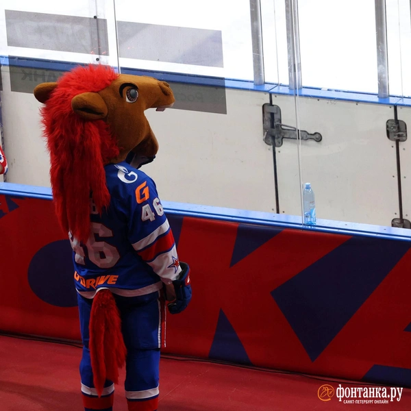 Источник: Сергей Михайличенко / «Фонтанка.ру»