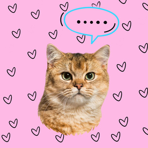 Тест: Выбери мартовского котика и узнай, сколько человек безответно в тебя влюблены