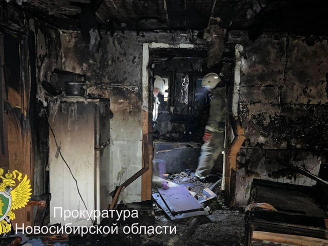 СК России ведёт проверку | Источник: Прокуратура Новосибирской области / Телеграм