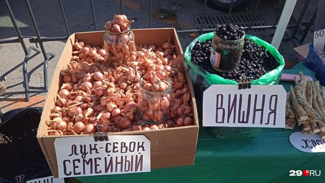 Источник: Юрий Скородумов / 29.RU