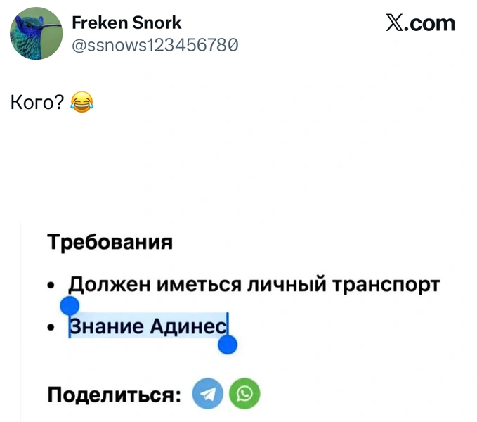 Источник: X (Twitter)