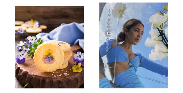 Фото №7 - Фуд-тренд: ванильное печенье со съедобными цветами — лучшее украшение для вашего пикника