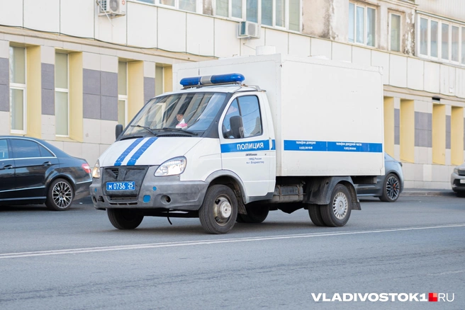 Подозреваемого в изнасиловании ребенка поместили в психбольницу | Источник: Елена Буйвол / VLADIVOSTOK1.RU