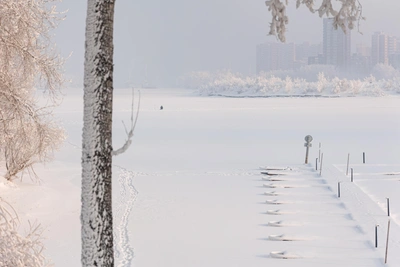 Krasnoyarsk Braces for -36°C Cold Snap? Weekly Weather Outlook