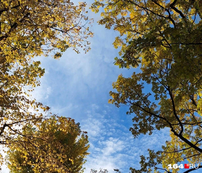 И только небо останется прежним. | Источник: Антон Васильченко / 164.RU