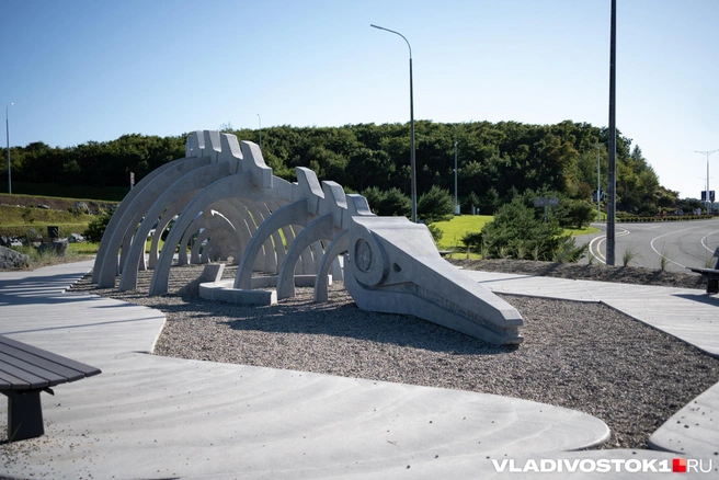 Палеопарк на острове Русском | Источник: Елена Буйвол / VLADIVOSTOK1.RU