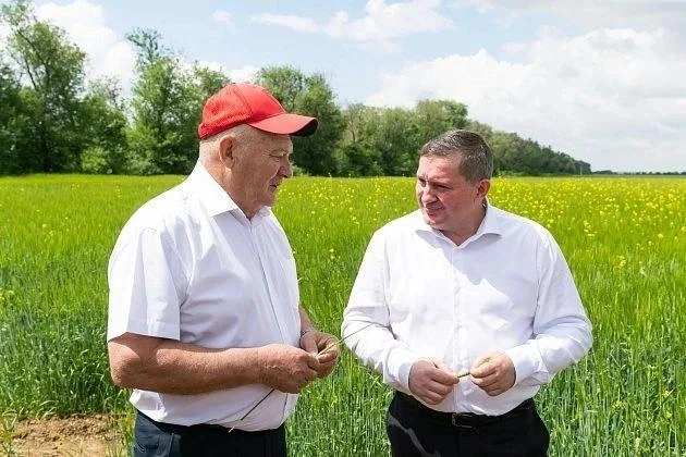 Андрей Бочаров и Александр Колесниченко | Источник: администрация Волгоградской области