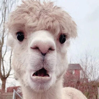 Аватарка Алёша