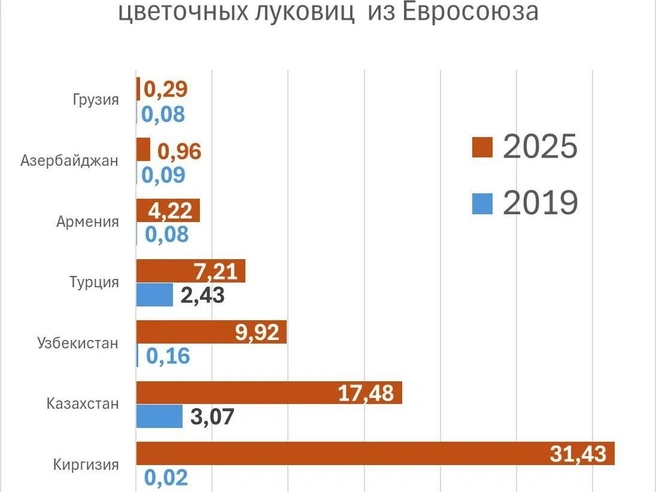 Источник: «Фонтанка.ру»