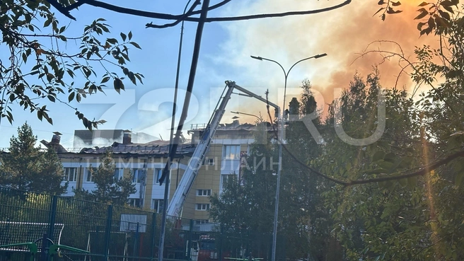 Огонь охватил 3600 квадратных метров | Источник: 72.RU