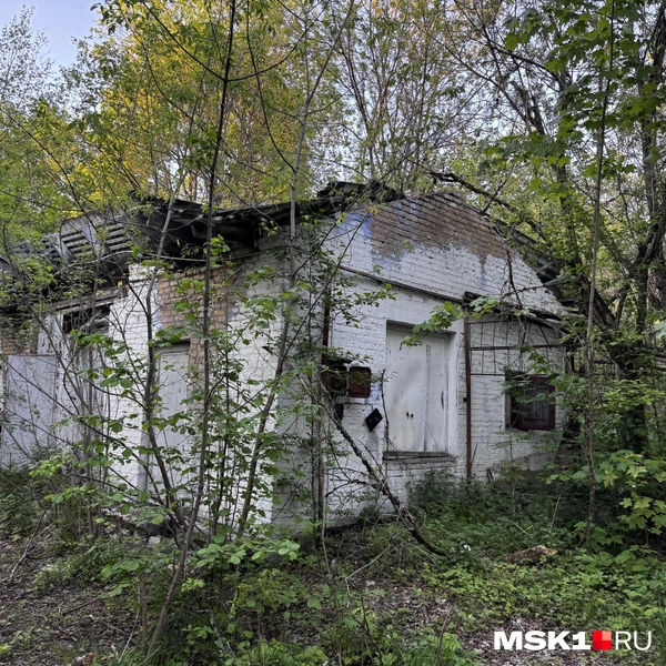 Источник: Алина Мельникова / MSK1.RU