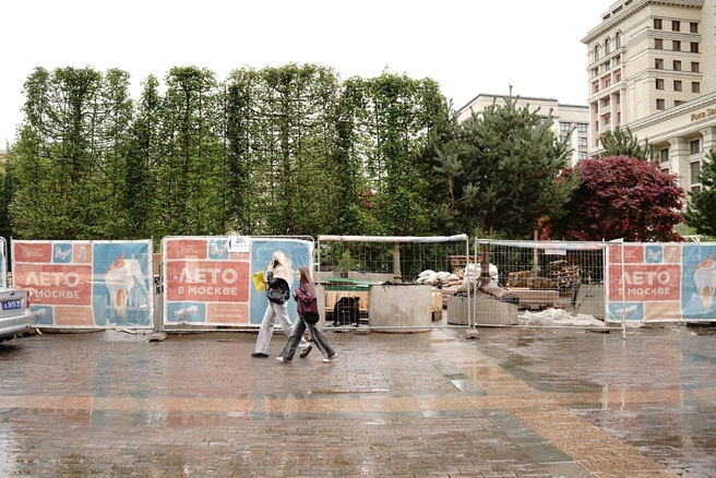 Только в одном из садов представлена тысяча кустов и более пяти тысяч цветущих и декоративных растений | Источник: Артём Рамазани-Зубов / MSK1.RU