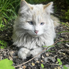 userpic__murelyna