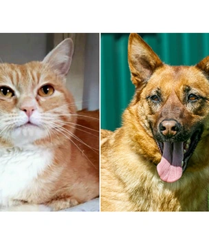 Котопёс недели: кот Шурик и собака Василиса