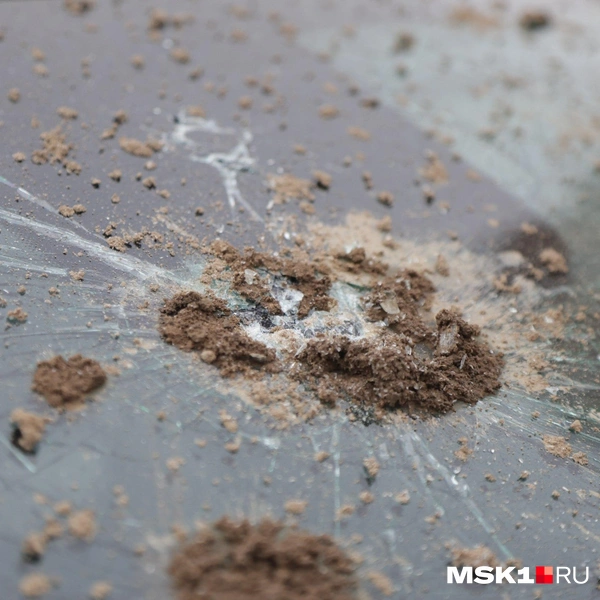 Источник: Дмитрий Толстошеев / MSK1.RU