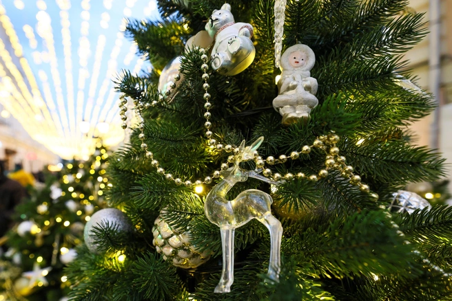 Главное&nbsp;— елка должна быть гармоничной | Источник: Артем Устюжанин / MSK1.RU