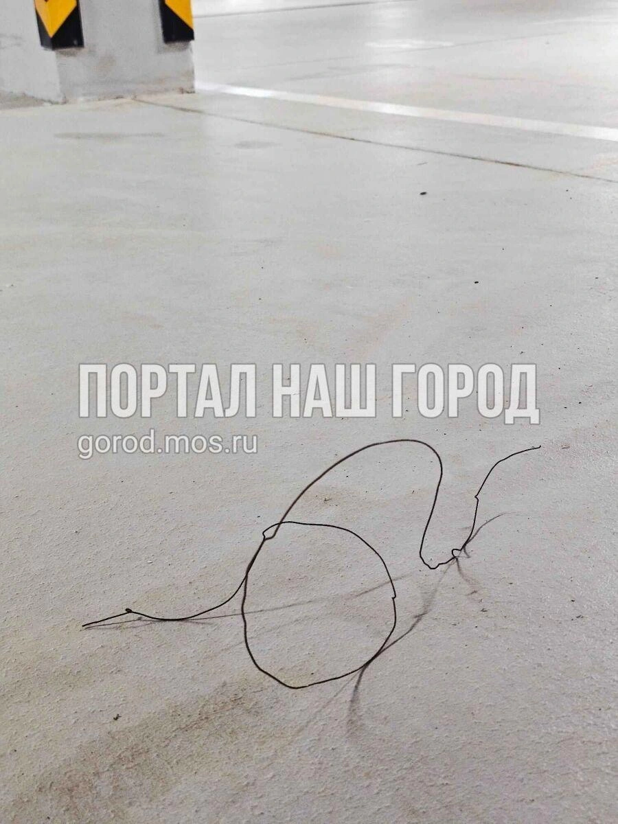 На парковке валяется проволока | Источник: gorod.mos.ru