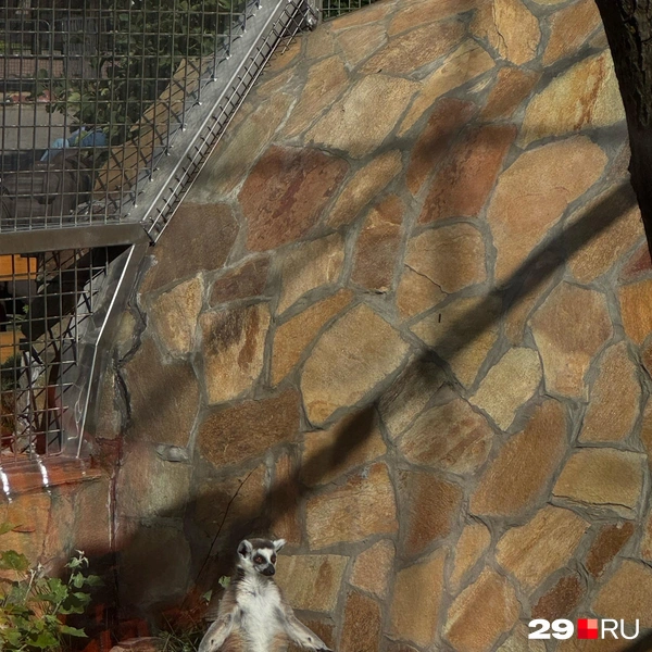 Источник: Валерия Богатырёва / 29.RU