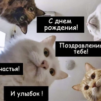 Аватарка DanaD