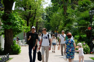 В Сочи и Сириусе сняли вторую за день угрозу дронов