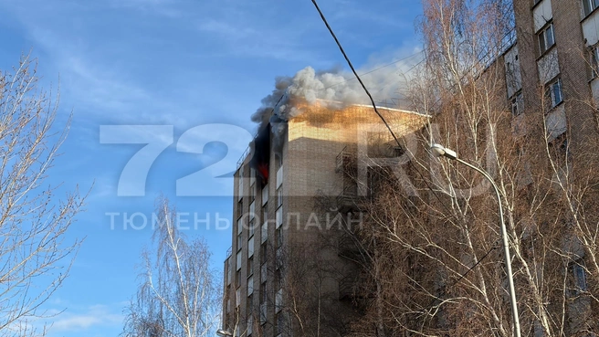Дым был виден из разных точек в этом районе  | Источник: Дарья Макеева / 72.RU 