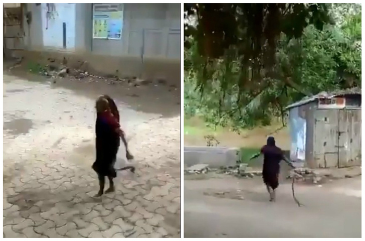 Бабуля преспокойно несет кобру за хвост со двора и выкидывает подальше (видео)