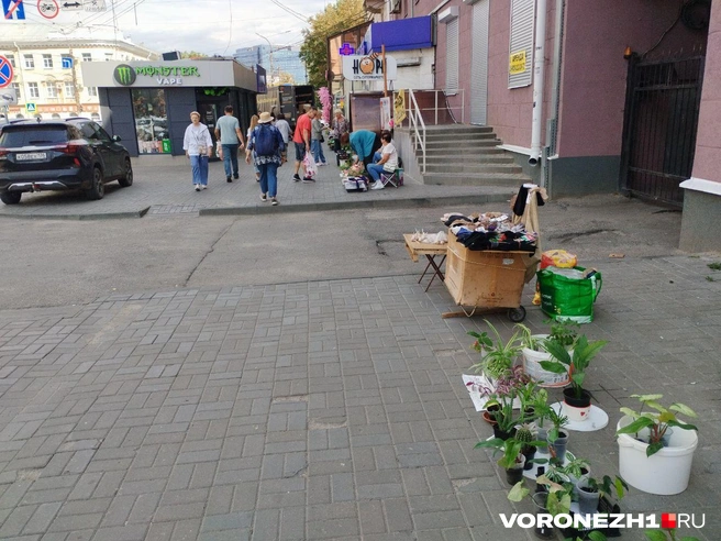 Источник: Дмитрий Волгин / Voronezh1.ru