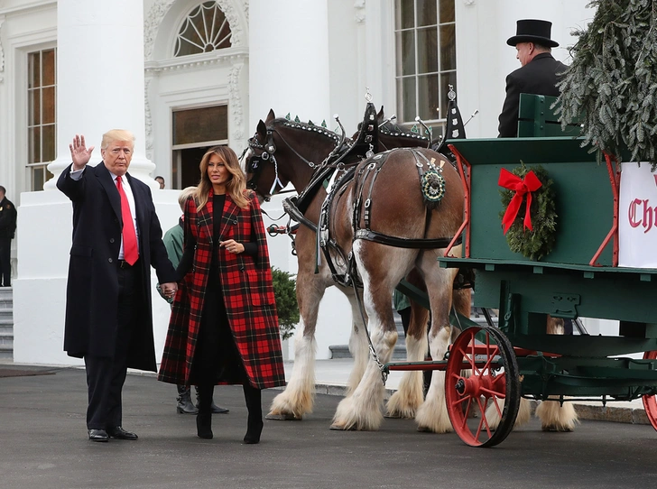 В дом Дональда и Мелании Трамп пришло Рождество (и семейная идиллия)