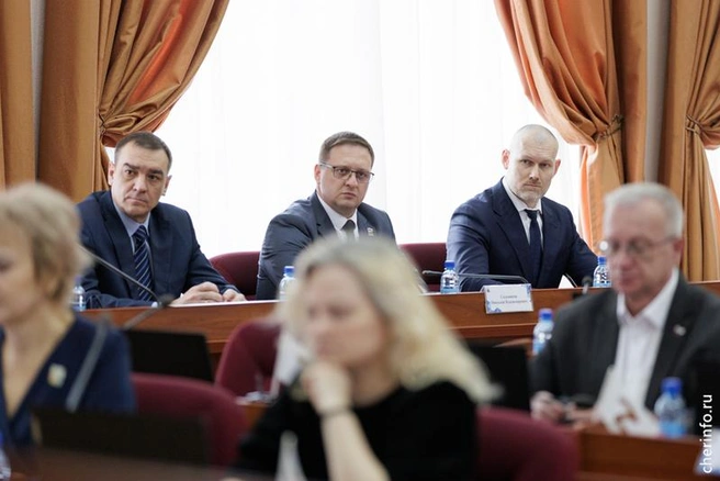 Источник: st.cherinfo.ru