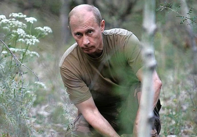 Купленные Путиным деревья посадят в «Мещере» 4 октября | ya62.ru
