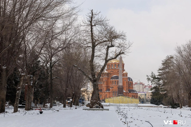 Ствол внутри сгнил практически полностью | Источник: Алексей Волхонский / V1.RU