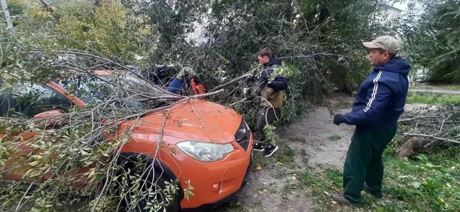 Работы по ликвидации ЧП держат на контроле в администрациях города и районов | Источник: пресс-служба администрации Барнаула