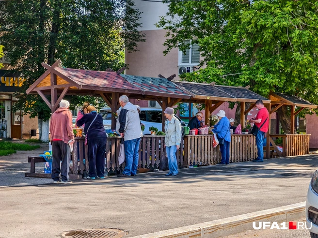 Желающих купить ягоду много | Источник: Булат Салихов / UFA1.RU