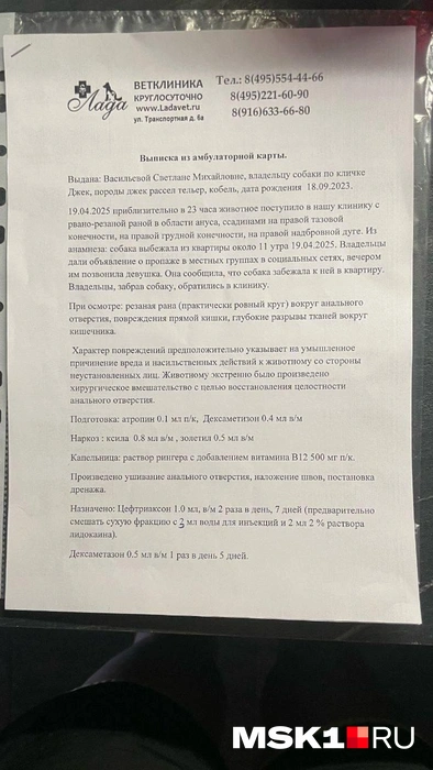 Диагноз Джека | Источник: Читатель MSK1