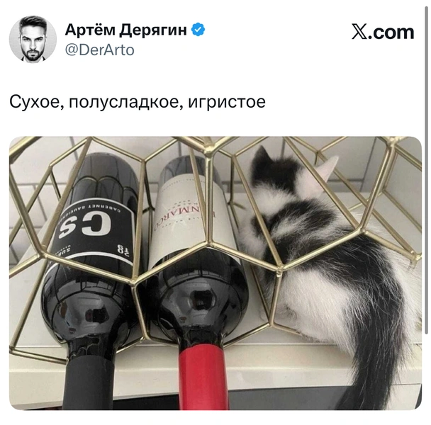 Источник: X (Twitter)