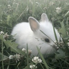 userpic__mir4ndagray