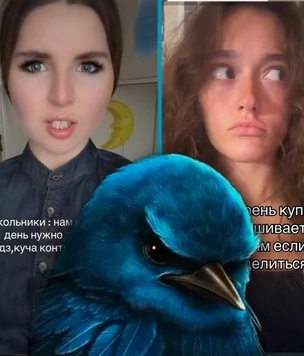 «Вряд-ли»: что за новый смешной мем с грозной птицей, который вирусится в TikTok