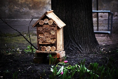 На Васильевском острове появился отель для насекомых