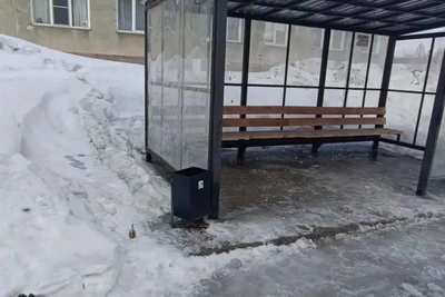 Макет гранаты нашли у остановки под Новосибирском