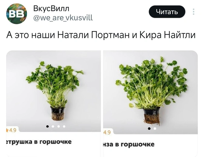 Эту же шутку про петрушку и кинзу обыграл бренд | Источник: X (Twitter)