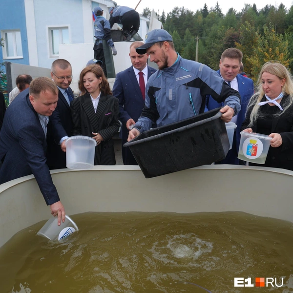 Источник: Владислав Лоншаков / E1.RU