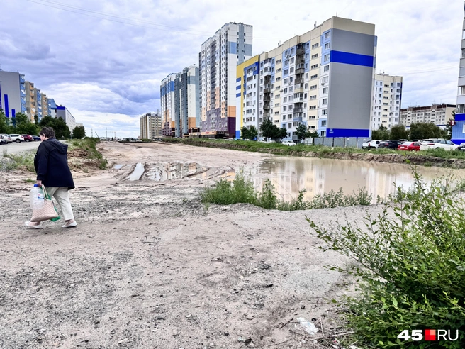Участок новой дороги от Голикова до Витебского | Источник: Юлия Король / 45.RU